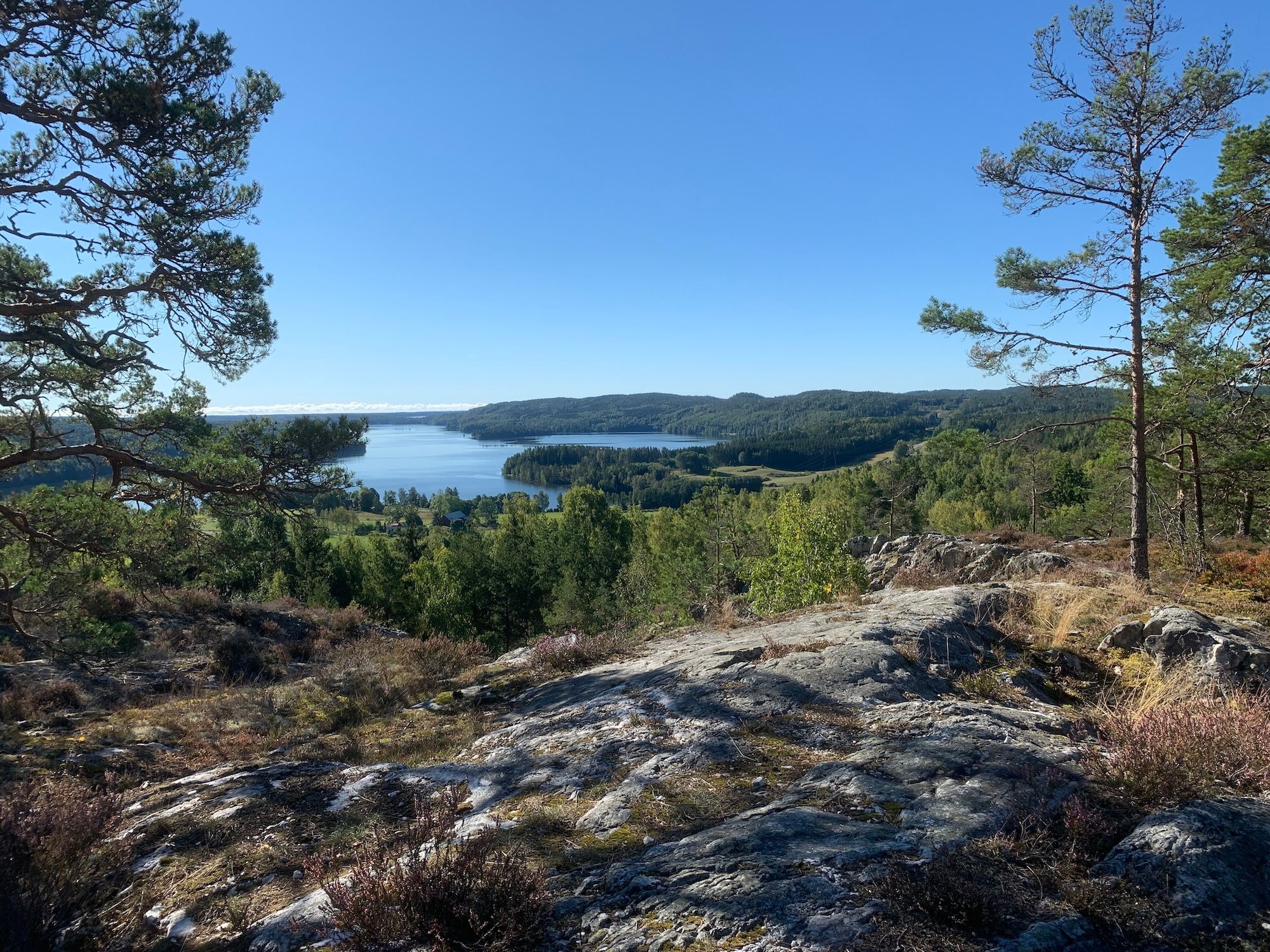 Wandelen en fietsen