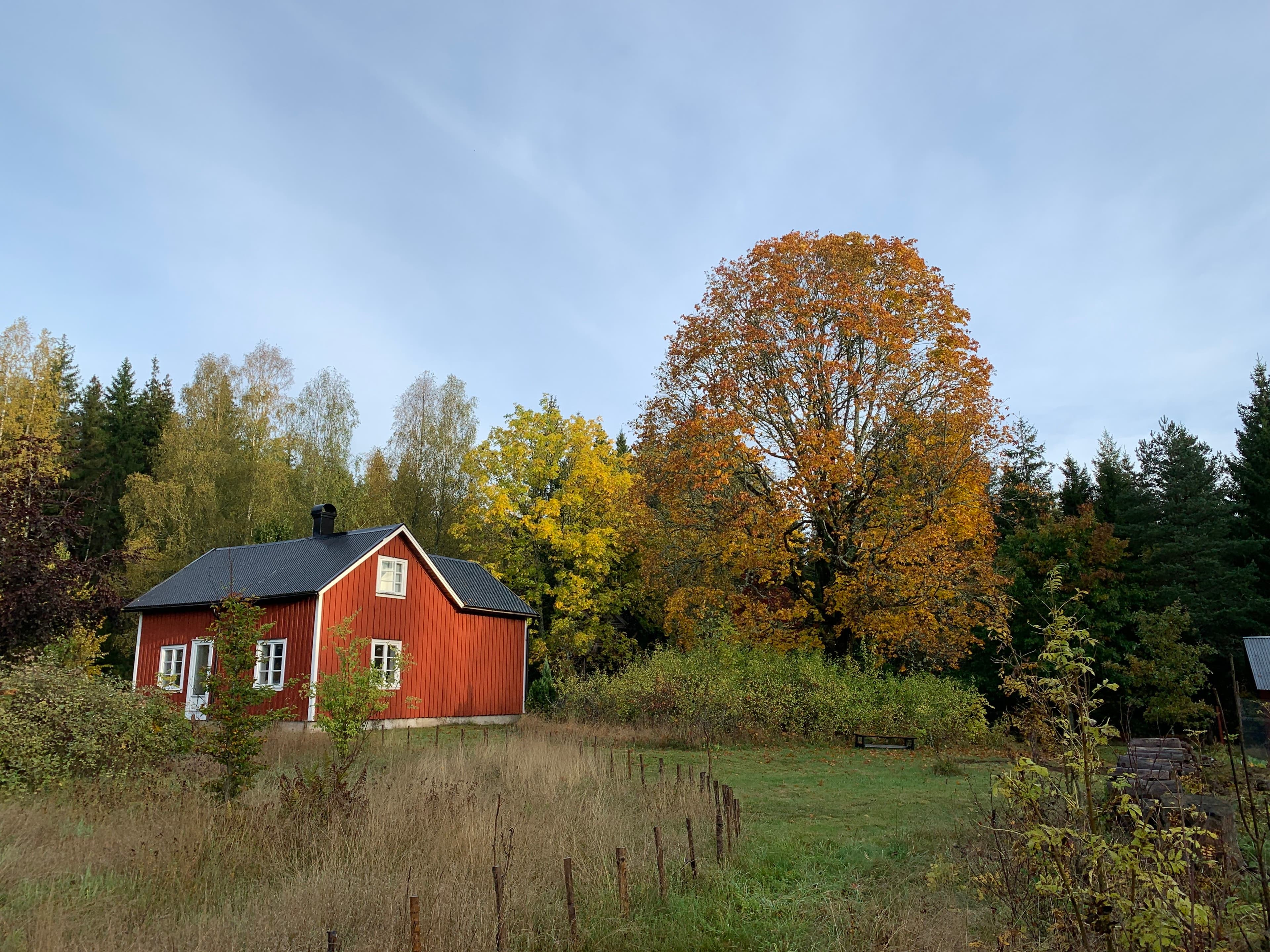 Kasen buiten